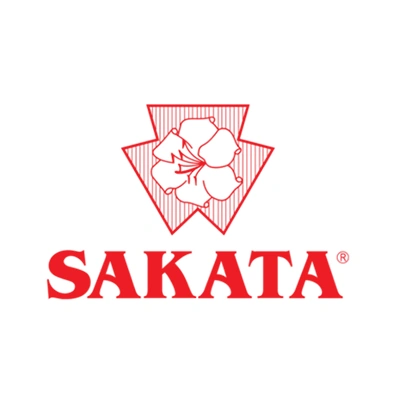 team-clientes-atendidos-5